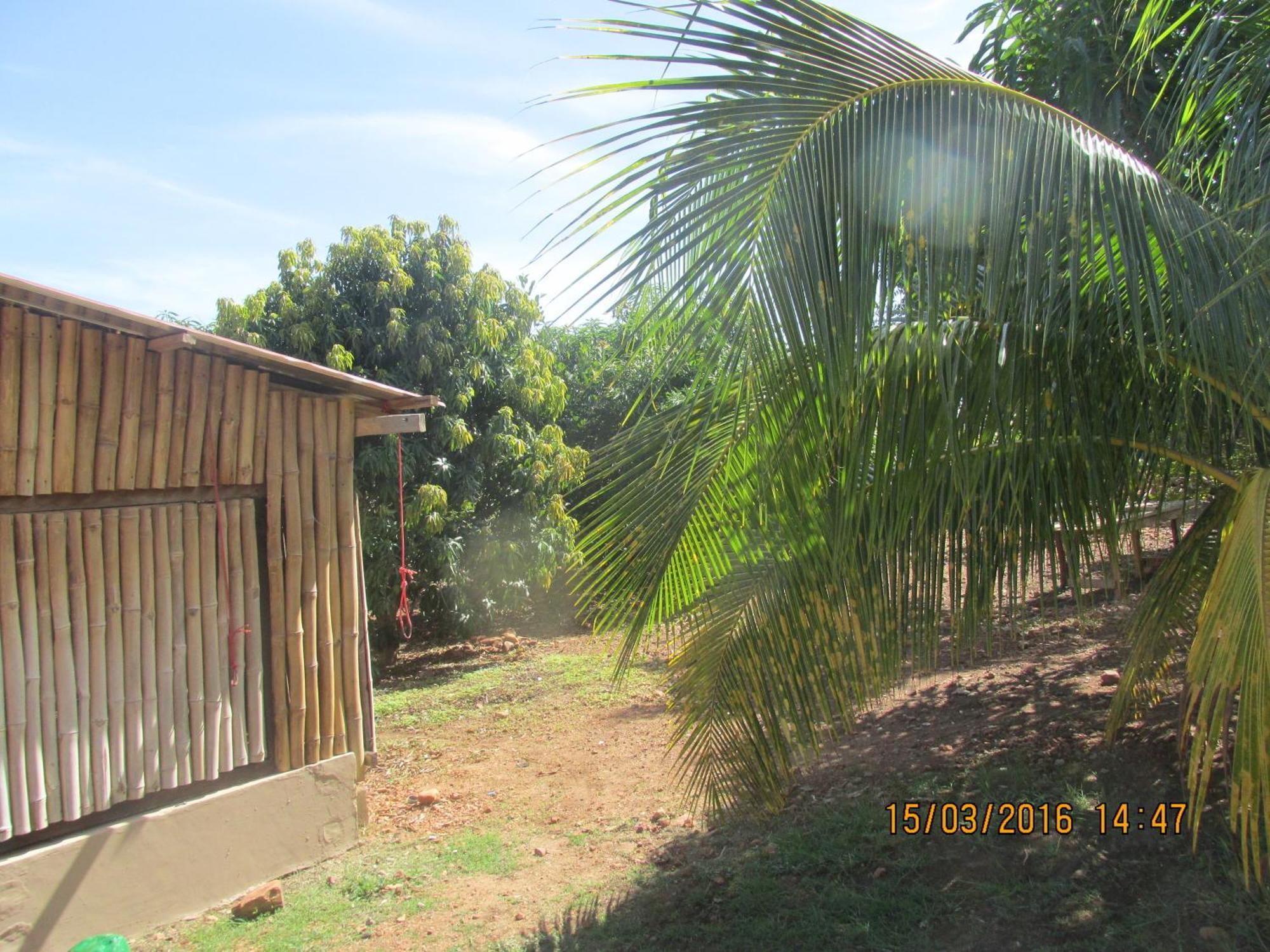 Jamaica Inn Guest House Botianaw Екстериор снимка